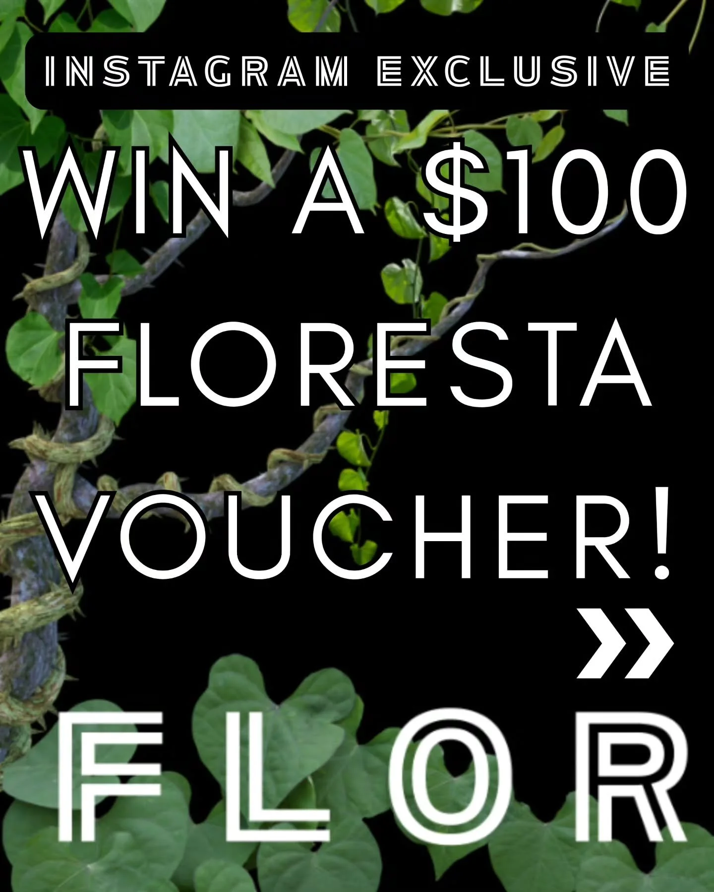 INSTAGRAM EXCLUSIVE: WIN A $100 FLORESTA VOUCHER
Thanks to the @aroidsocietyau you can win yourself a $100 event voucher to spend with any of our amazing stallholders!
All you have to do is:
🌱 Follow @floresta_de_tropical
🌱 Hit like, save and re