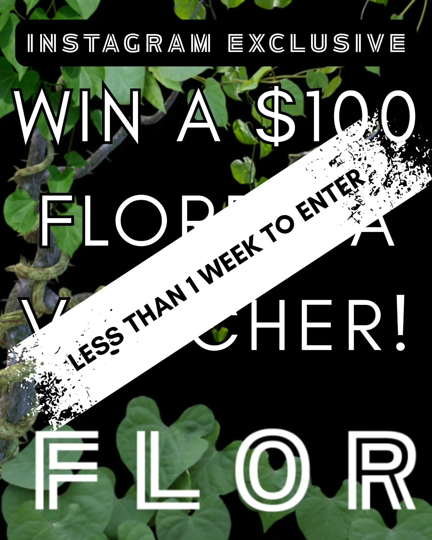It's your chance to win a $100 voucher to use at Floresta! Check out our pinned post on how to enter, as well as earn yourself bonus entries.