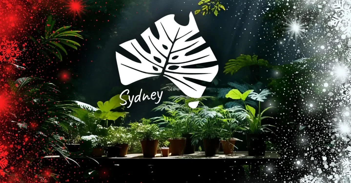 Heads up NSW Members ❄️ Join us in the festivities this December as we're having a plant picnic! Meet other members, swap and sell plants, and leave with a new plant baby as a Christmas treat.

Bring anything you'd like to a swap - from seeds, cuttin