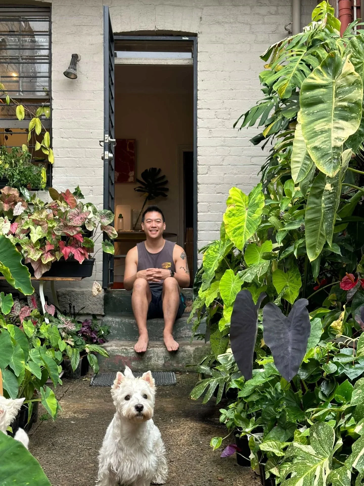 Our Aroid Society Australia NSW Representative Brendon is featured on episode 36 of Gardening Australia!

Watch it now on ABC iView - link in bio!

#gardeningaustralia #gardeningsydney #sydneyplants