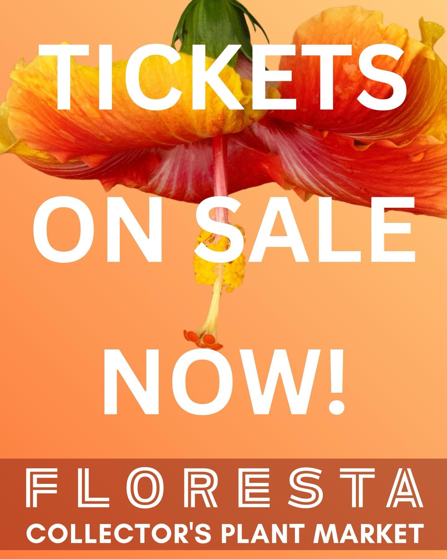 FLORESTA TICKETS ON SALE NOW!!! 

Tickets via Eventbrite link here or head to https://www.aroids.net/floresta-brisbane-2026

Free and early entry before the general public for  @aroidsocietyau members. 

Not a member and want to know how to join? Hea