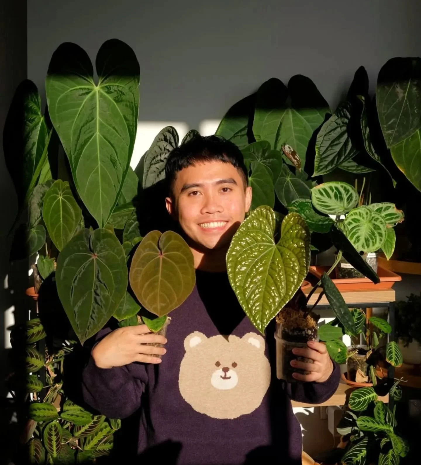 ✨ Our member feature: Bill (@bills.greendiary) 🌿

Are you a member that has a story to share? Message us and we'll tell you how!

1.	What&rsquo;s your all-time favourite aroid, and why does it have your heart?
It&rsquo;s  be my Anthurium Luxurians. 