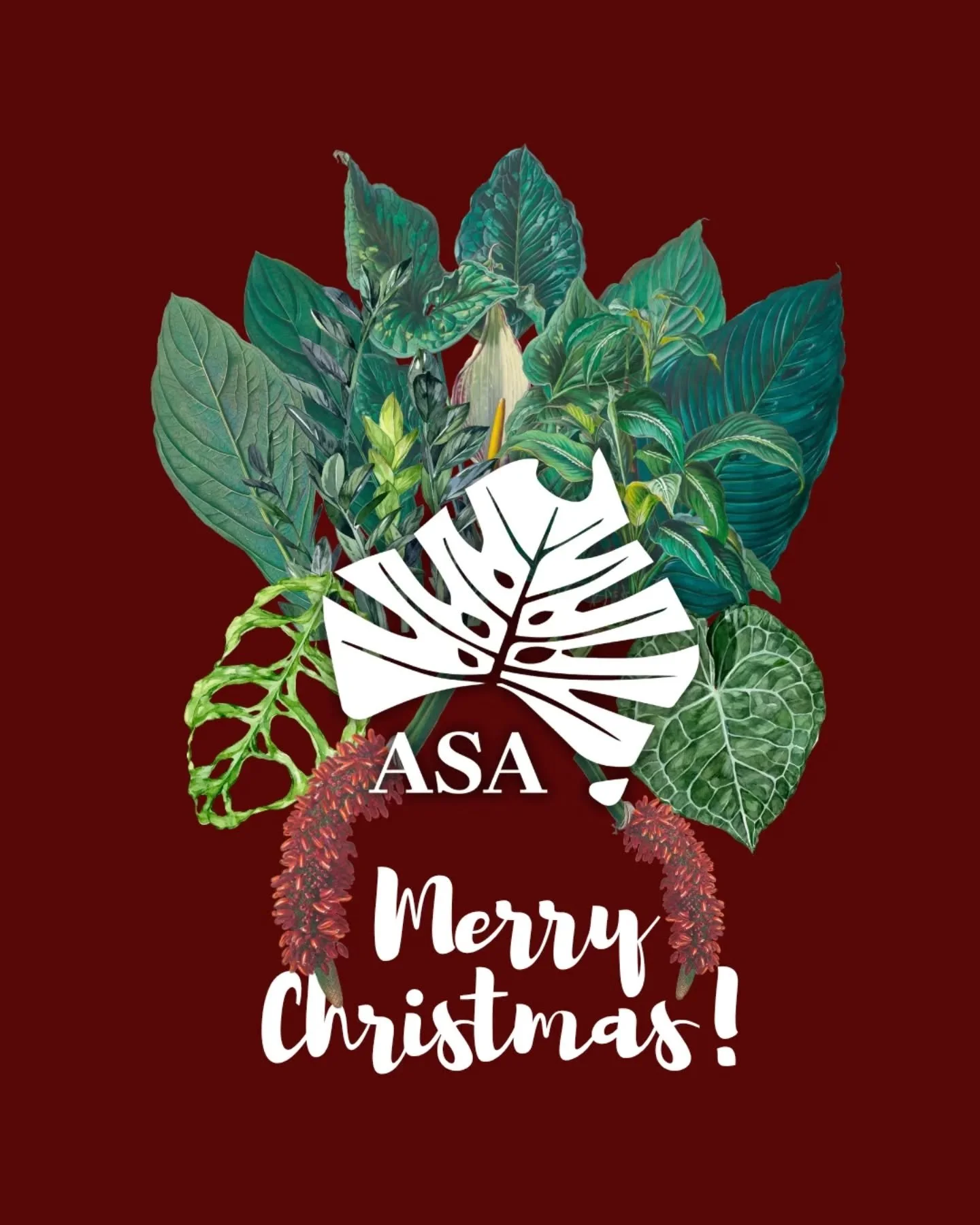 Wishing everyone a very Merry Christmas and a Happy New Year! 🎄🎁

Take this time to relax and appreciate your beautiful foliage. 

See you in 2026! 🎉

#christmas2025 #2026