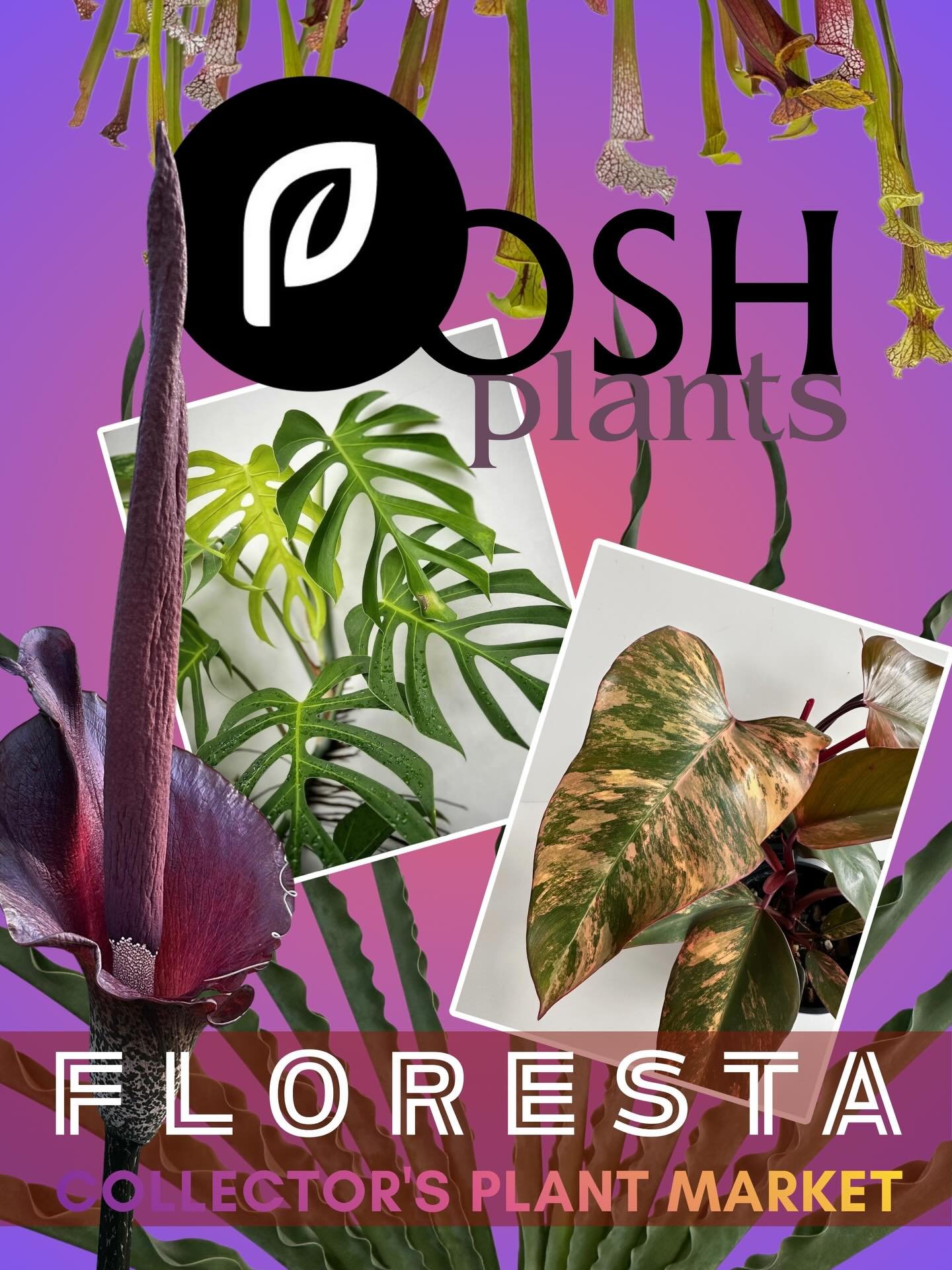 Posh Plants brings rare tropical Aroids, Alcantareas, and Tillandsias to collectors, cultivating uniqueness in every leaf. Uncommon foliage for extraordinary spaces.

For more info or to purchase tickets please head to Tickets &amp; Info Here

We&rsq