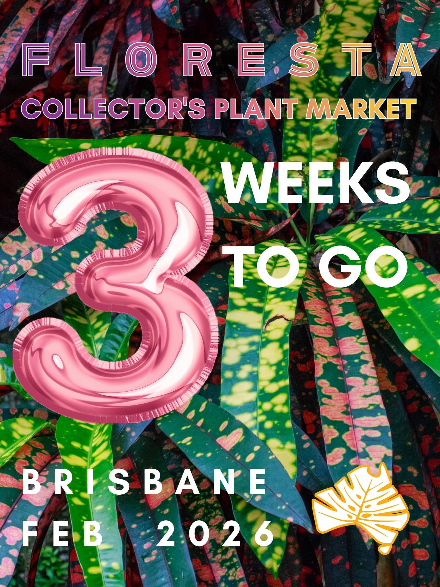FLORESTA 

Only 3 Weeks to Go! 

For more info or to purchase tickets please head to Tickets &amp; Info Here

We&rsquo;ll see you at Floresta!

#floresta #florestabrisbane #florestaplantmarket @aroidsocietyau