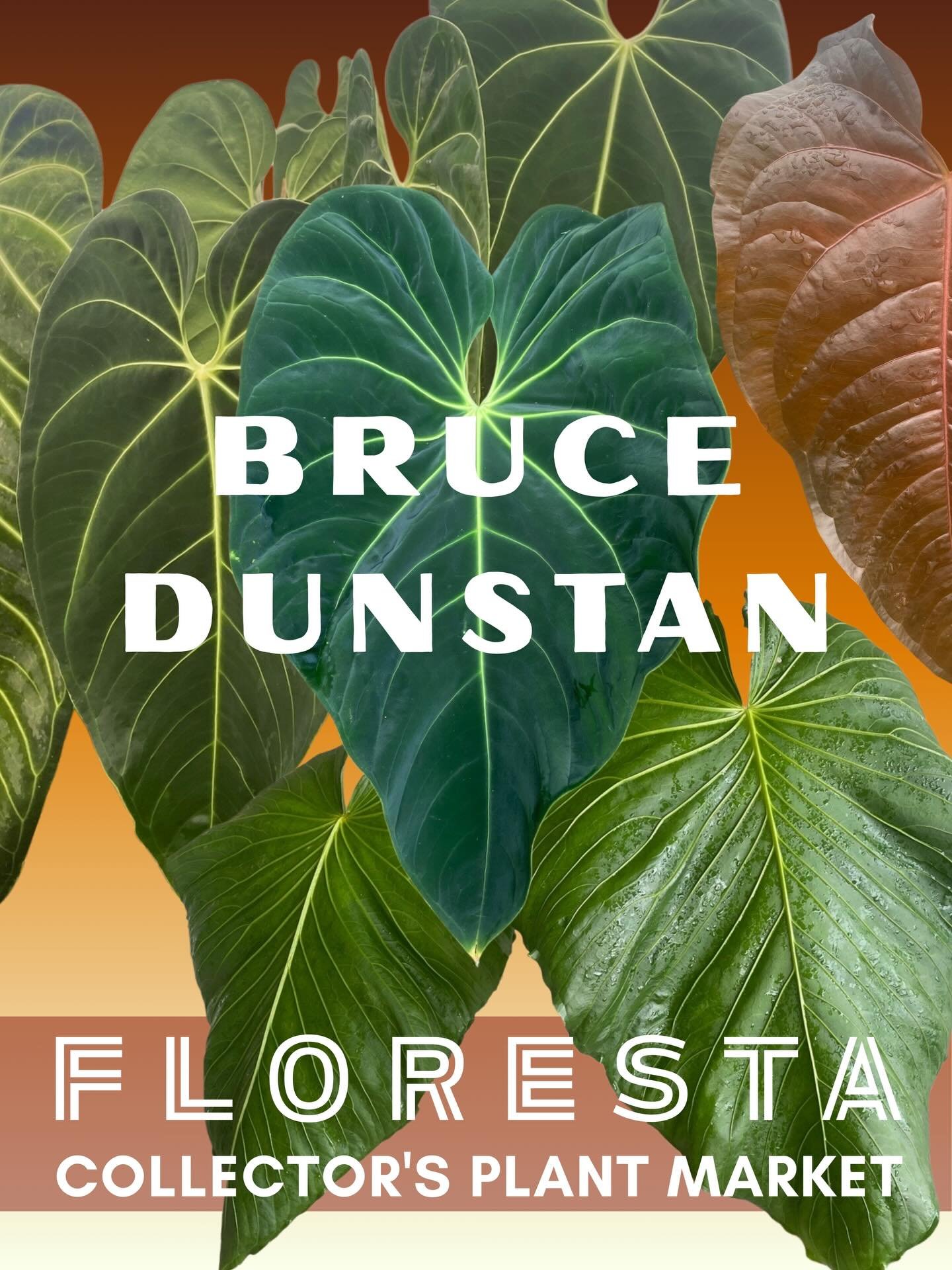 FLORESTA VENDOR SPOTLIGHT 

@brucedunstan 

We are again stoked to have Bruce Dunstan returning to Floresta! 

Bruce is a regular at our ASA meeting and local plant sales. Known for being a go to for rare species and unusual anthurium hybrids Bruce i