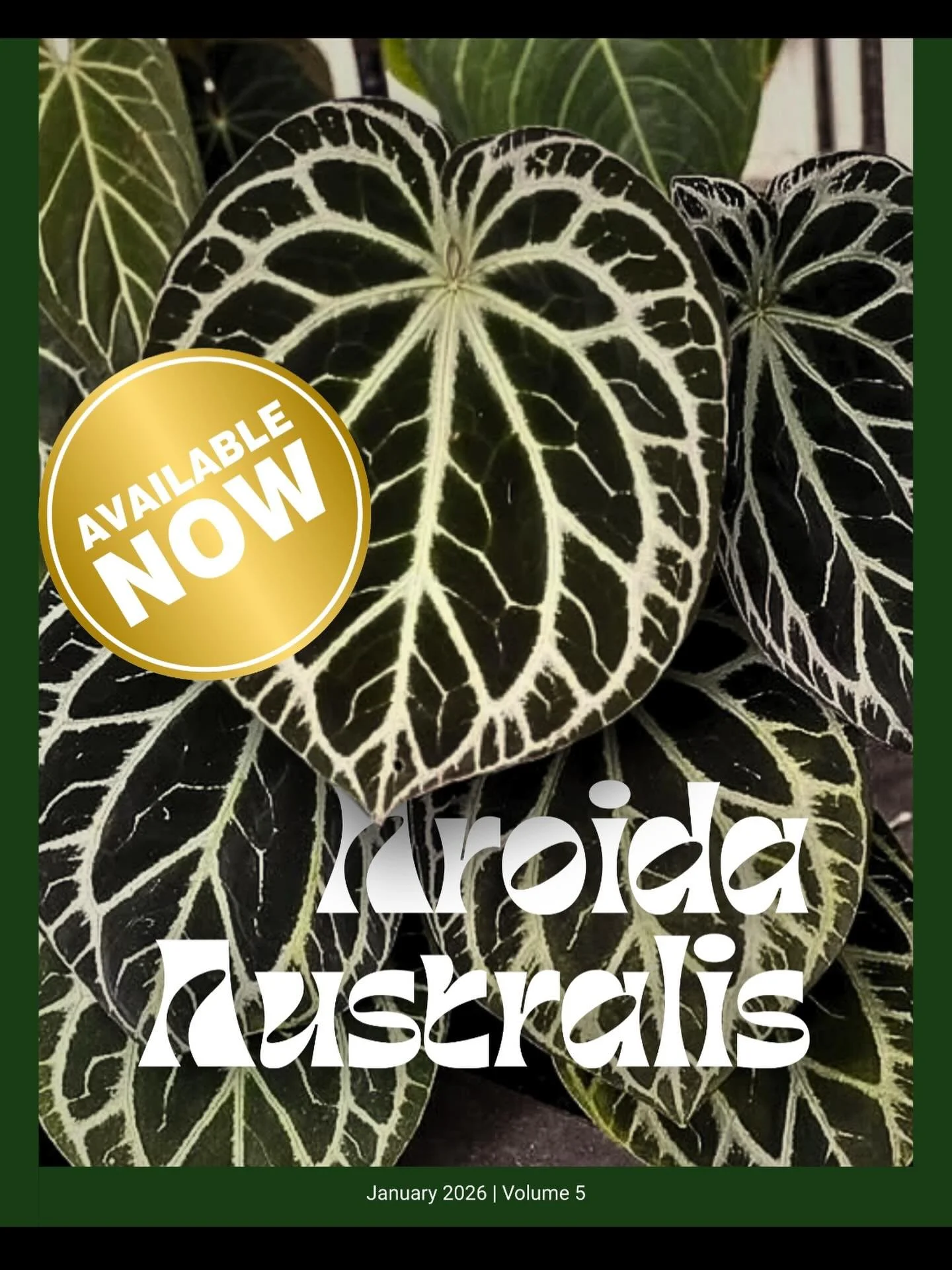 Attention members! 

The January 2026/5th edition of Aroida Australis is available now online via our members only area!

It&rsquo;s a bumper issue with articles on vertical garden biodiversity, amorphophallus cultivation, Aussie Aroid hybrids, plus 