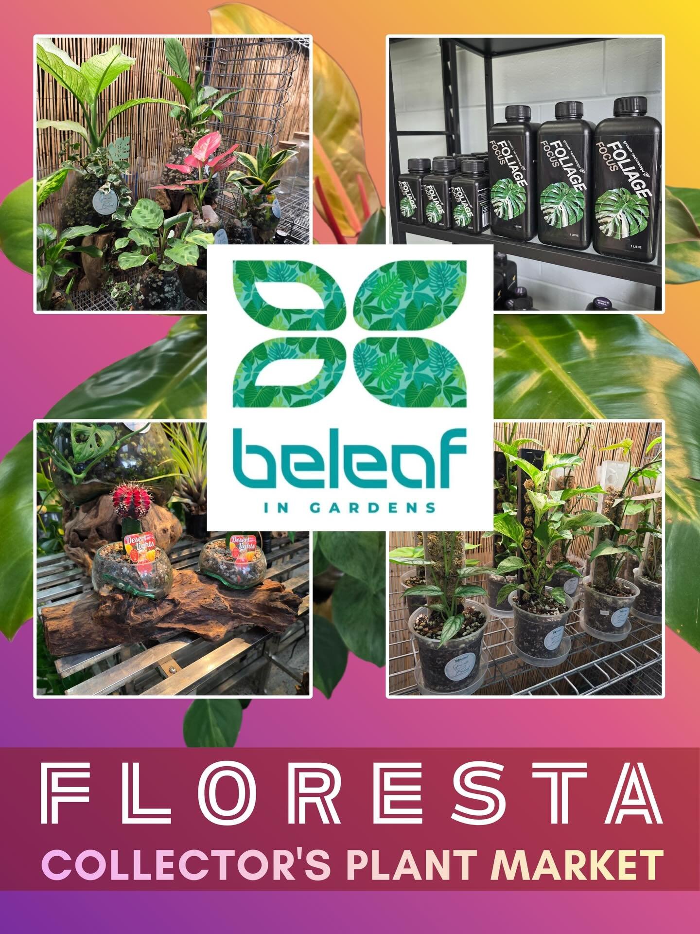 FLORESTA VENDOR SPOTLIGHT 

@beleaf_in_gardens_pty_ltd 

We specialise in exotic and rare plants and all the care to go with. We also like to make &ldquo;plant art&rdquo; like Plant Slumps Bowl Creations, Terrariums and more.

For more info or to pur
