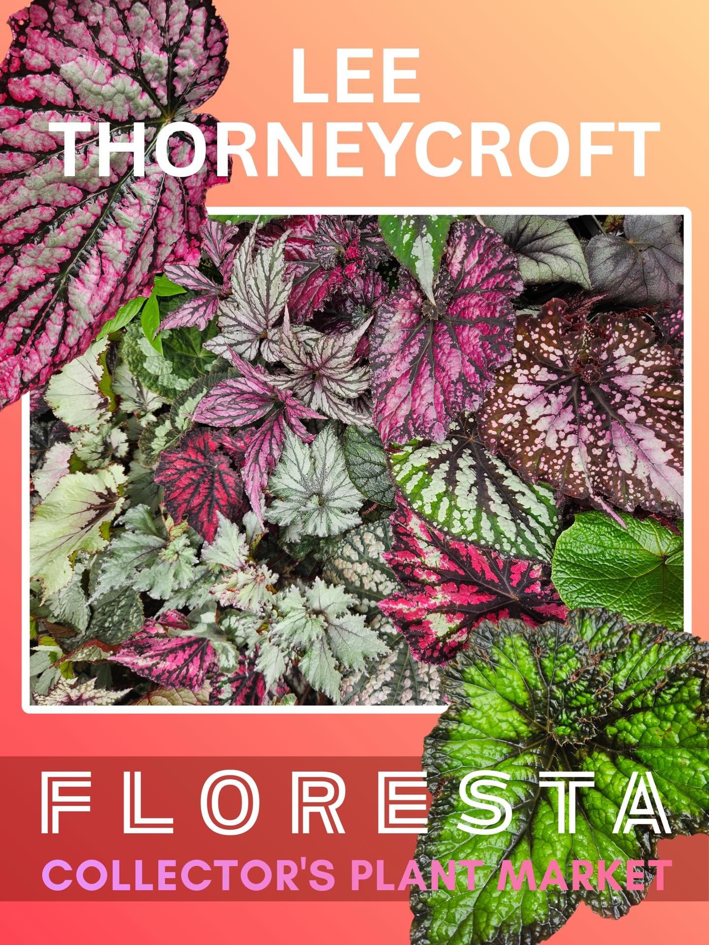 FLORESTA VENDOR SPOTLIGHT 

Lee Thornecroft 

Lee will have a variety of beautiful Tropical Foliage including her fabulous Caladiums, other Aroids, and a HUGE variety of almost any Begonia you can think of! 

Lee always has a wee bit of this and that