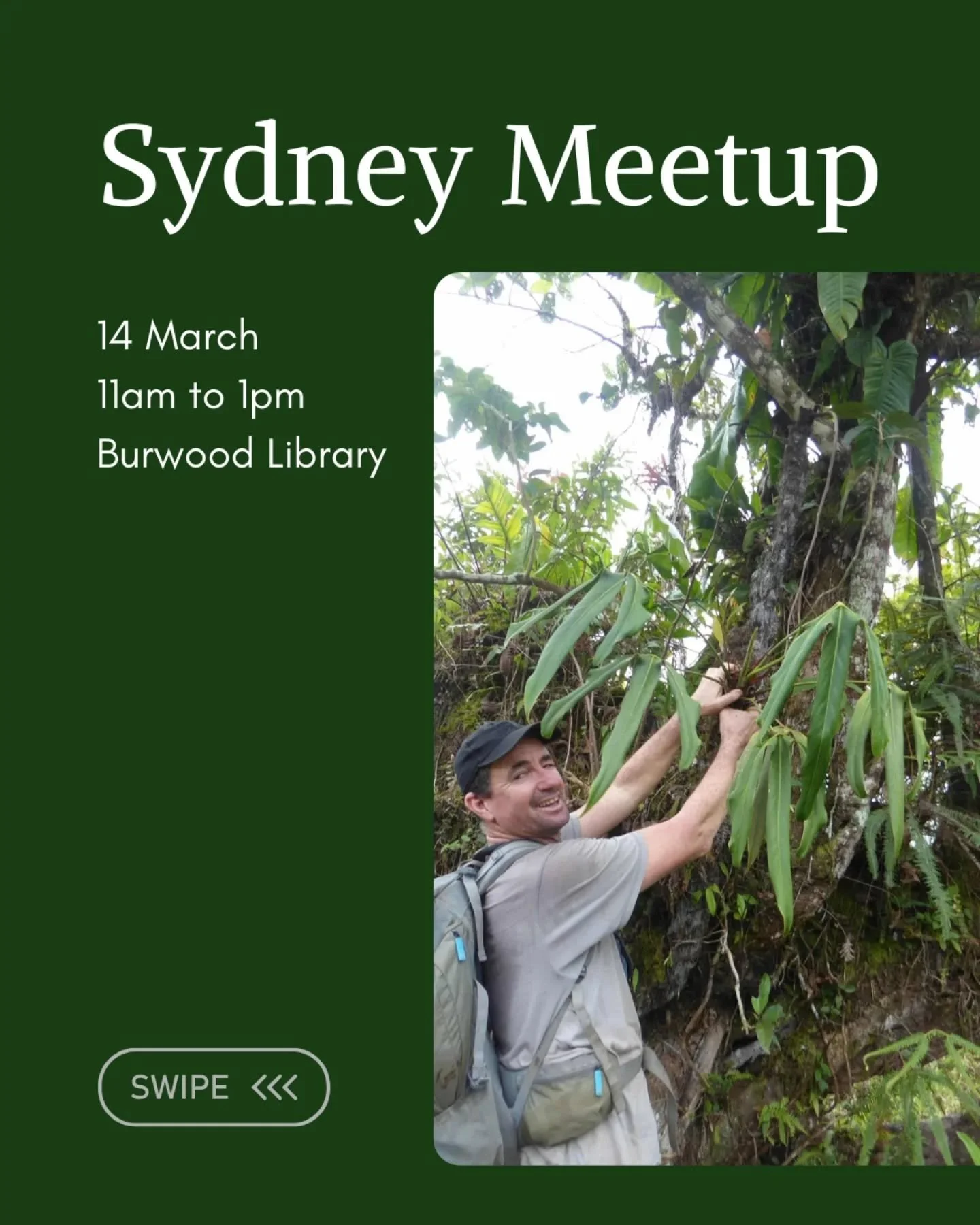 Attention Sydney Siders 🌿 Join us at our next ASA Meetup in March, featuring guest speaker Bruce Dunstan. We look forward to seeing you there!

Link in bio for more details and to RSVP.

#sydneyplantclub #sydneyplants #sydneyevents #aroidsocietyau #