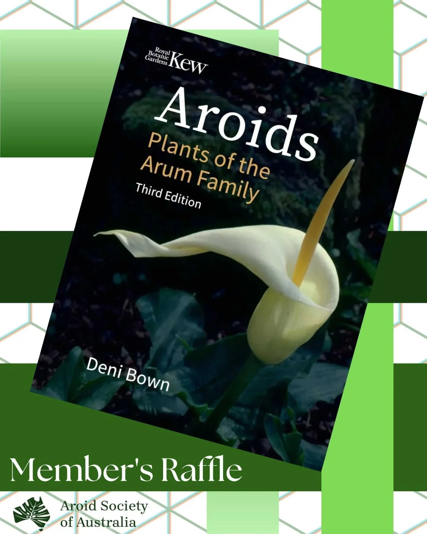 🚨 Last Calls for entry into our Members Only Raffle! 🚨

The draw taking place on the Saturday 14th of March 2026 at 1:00pm at our recently announced Sydney meet up; with the prizes as followed:

1st 🥇
Alocasia &lsquo;Golden Bone&rsquo; aurea varie