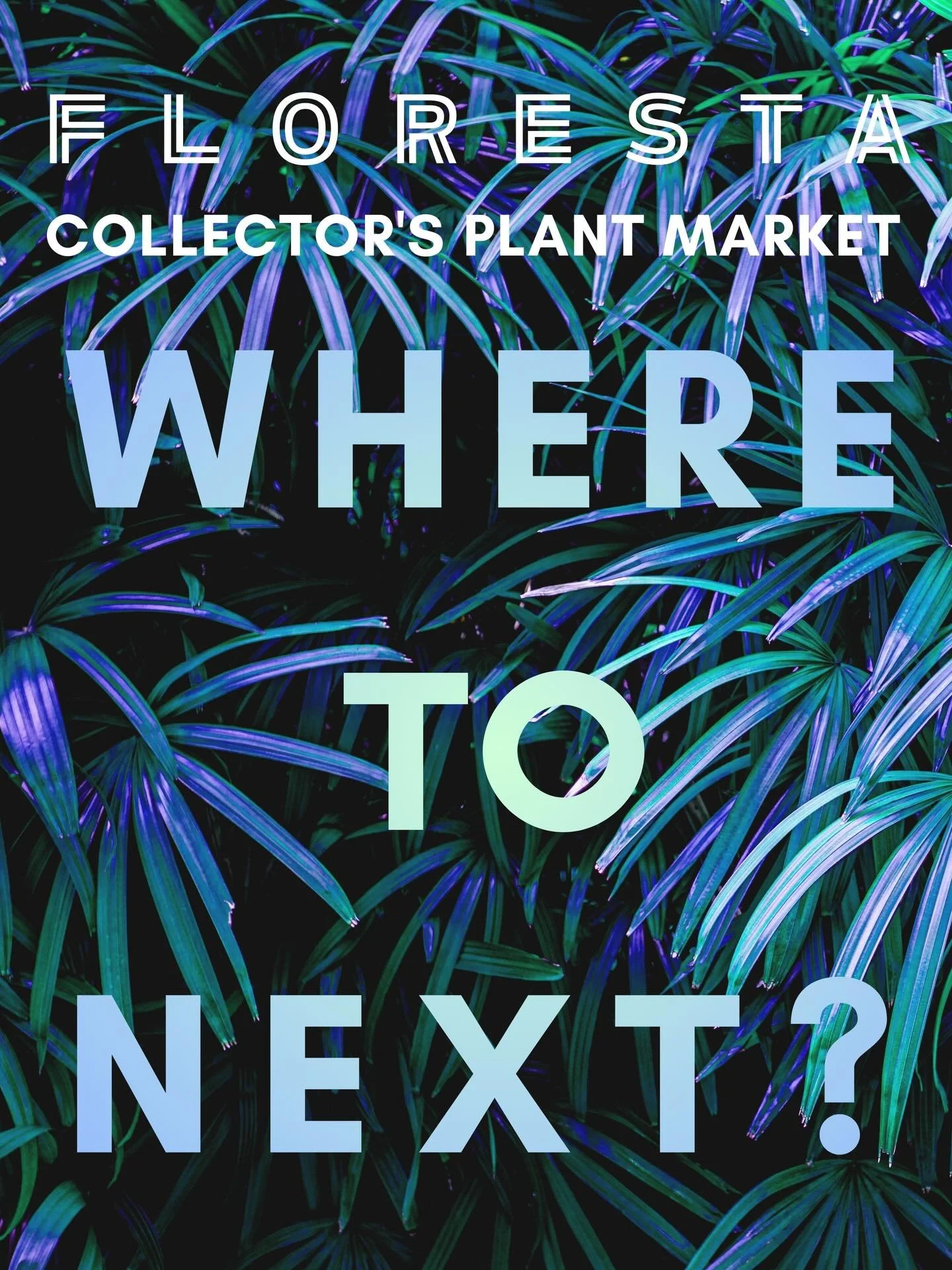 And that&rsquo;s a wrap on #Florestabrisbane2026

Comment below some suggestions for our next Floresta location 👀

#floresta #florestaplantmarket @aroidsocietyau