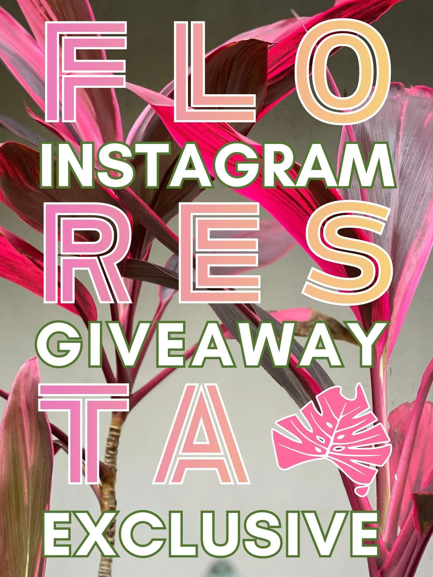 Insta Giveaway reminder
It&rsquo;s your chance to win a $100 voucher to use at Floresta! Check out our pinned post on how to enter, as well as earn yourself bonus entries.
