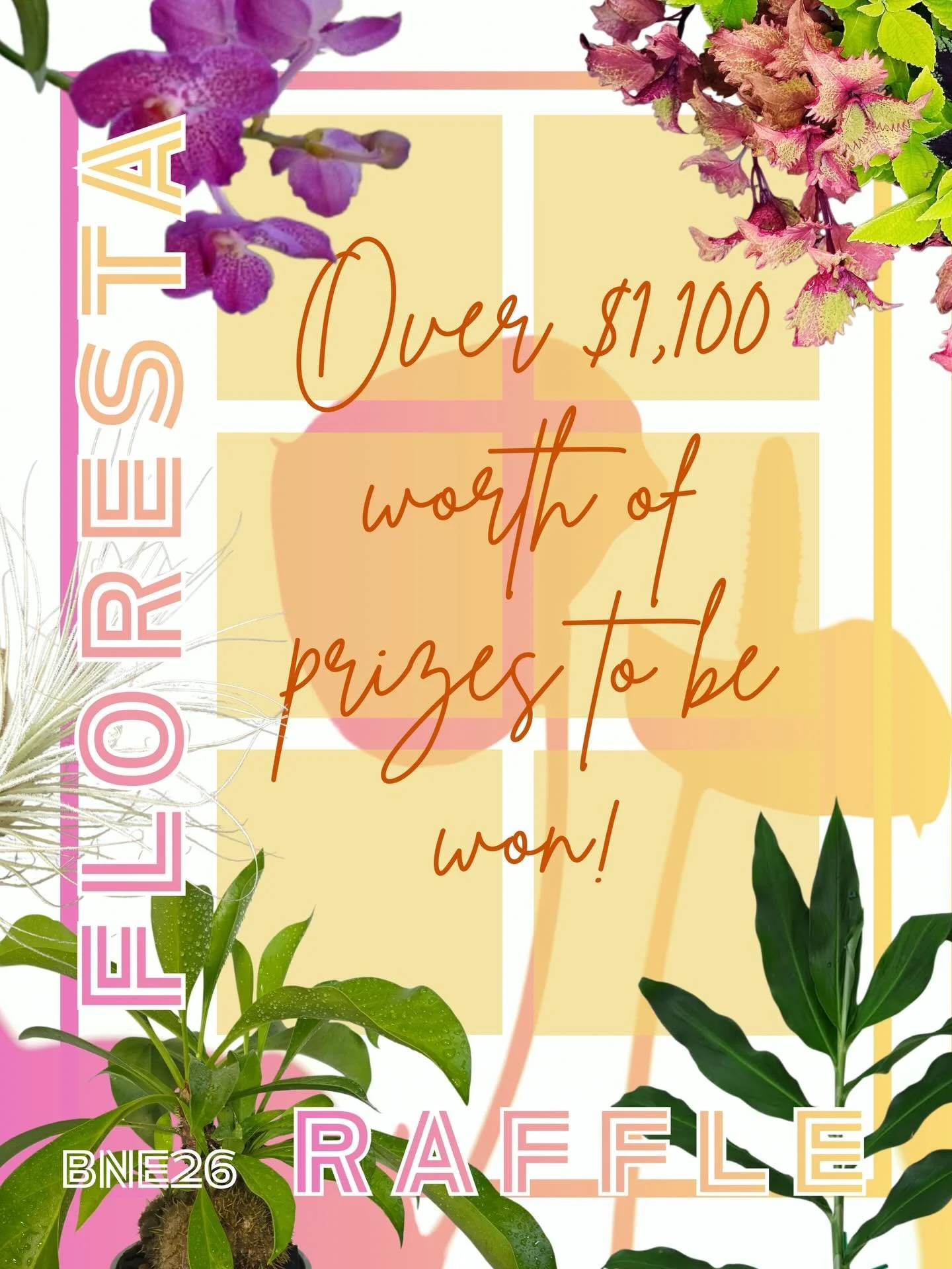 FLORESTA RAFFLE

Thanks to our fabulous stallholders and supporters, you could win one (or more) of three fabulous prize packs. Tickets are only $5 each with the winner drawn at 1pm at Floresta, with proceeds going to the @aroidsocietyau for future F