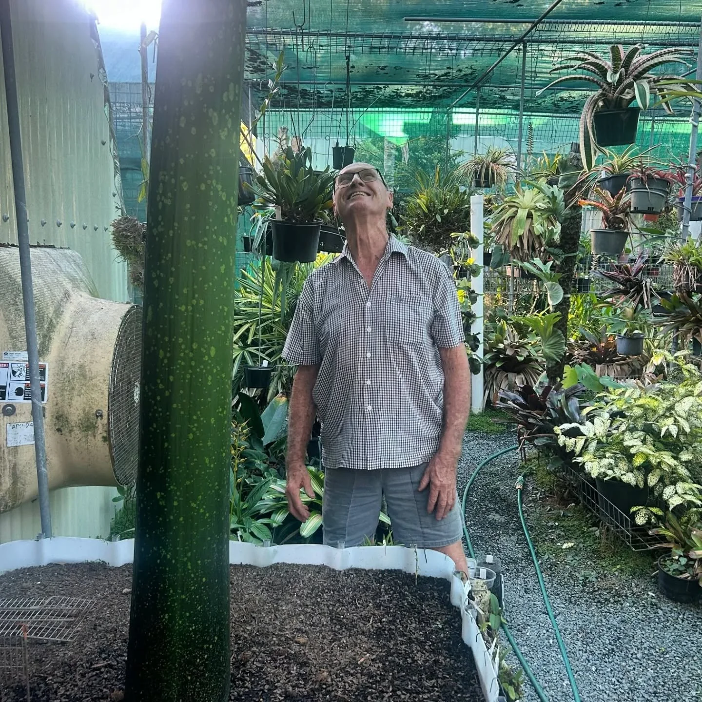 What's he looking up at? Our member Barry Kable was featured in last week's episode of Gardening Australia so don't forget to check that episode out!

Link to watch in bio.

#gardeningaustralia #amorphophallus #amorphophallustitanum