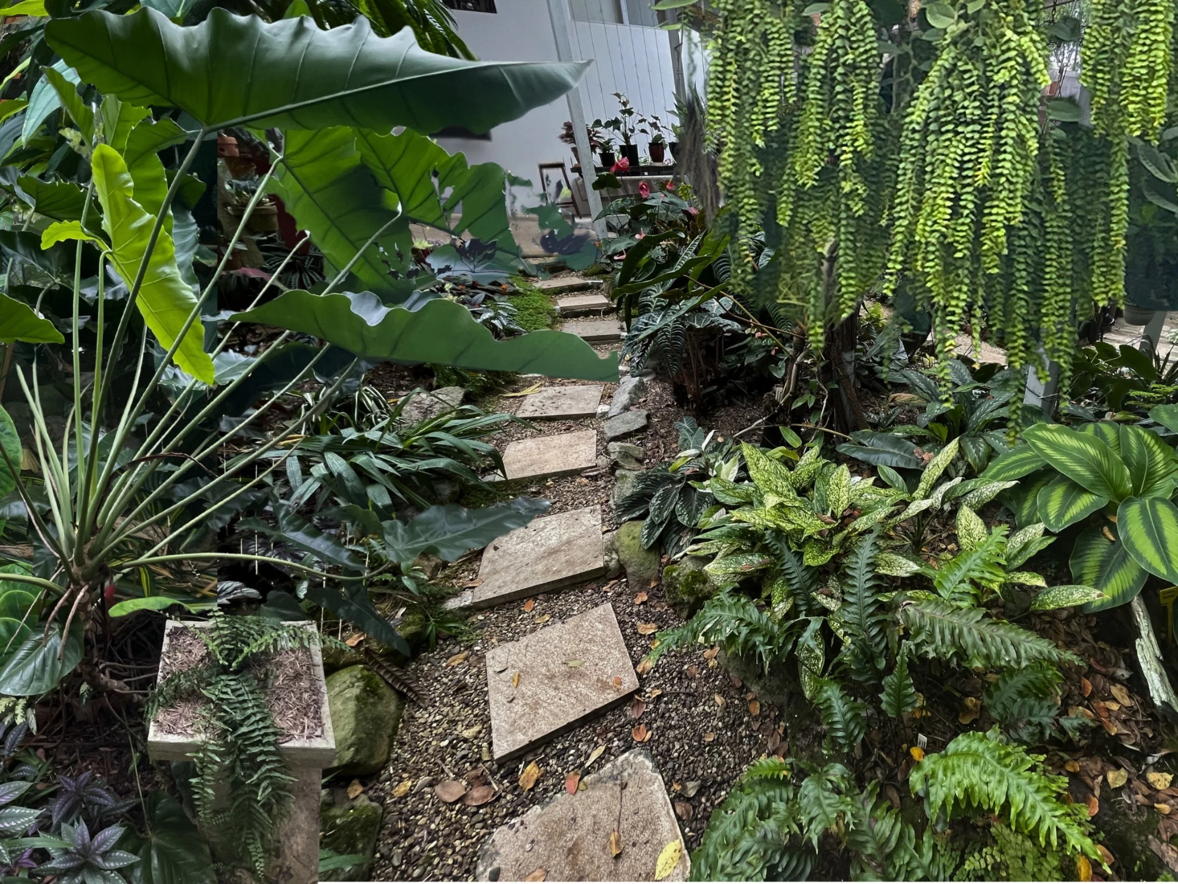 Sunshine Coast Field Trip