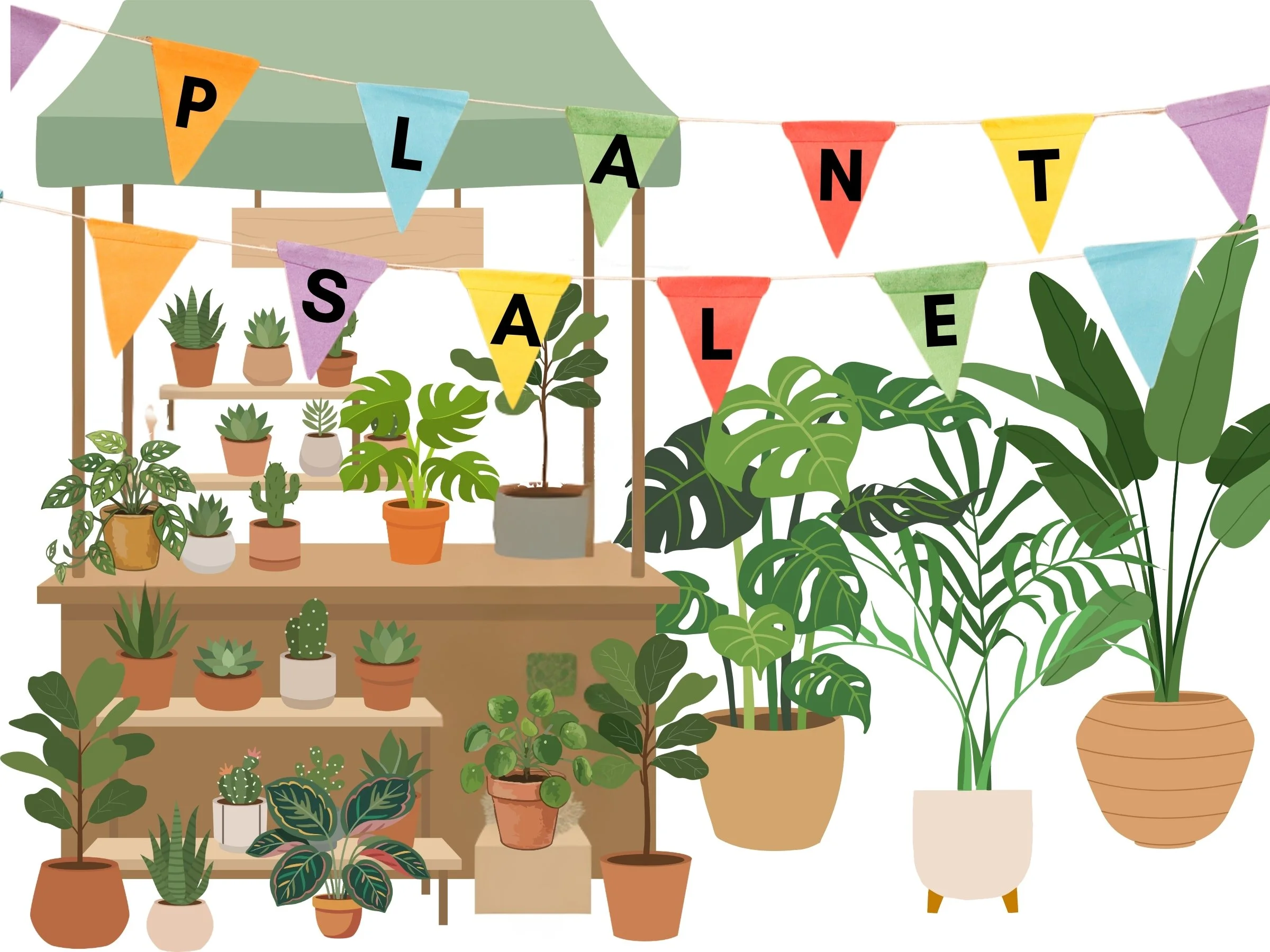 ASA Autumn 2026 Melbourne Meetup &amp; Plant Sale