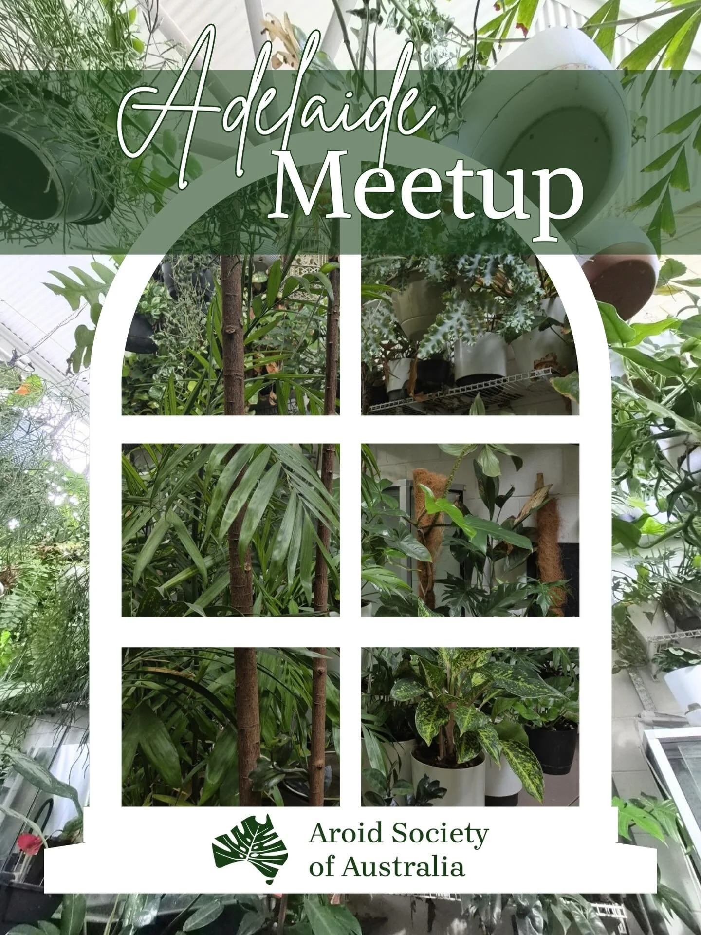 We&rsquo;re excited to announce the return of our long awaited South Australian Meet Up!

When:&nbsp; Friday 22nd May 2026, 6.30pm
Where:&nbsp;217 Gilbert Street Adelaide, BB Architects @theplantedstudio

This event will be a fantastic opportunity fo
