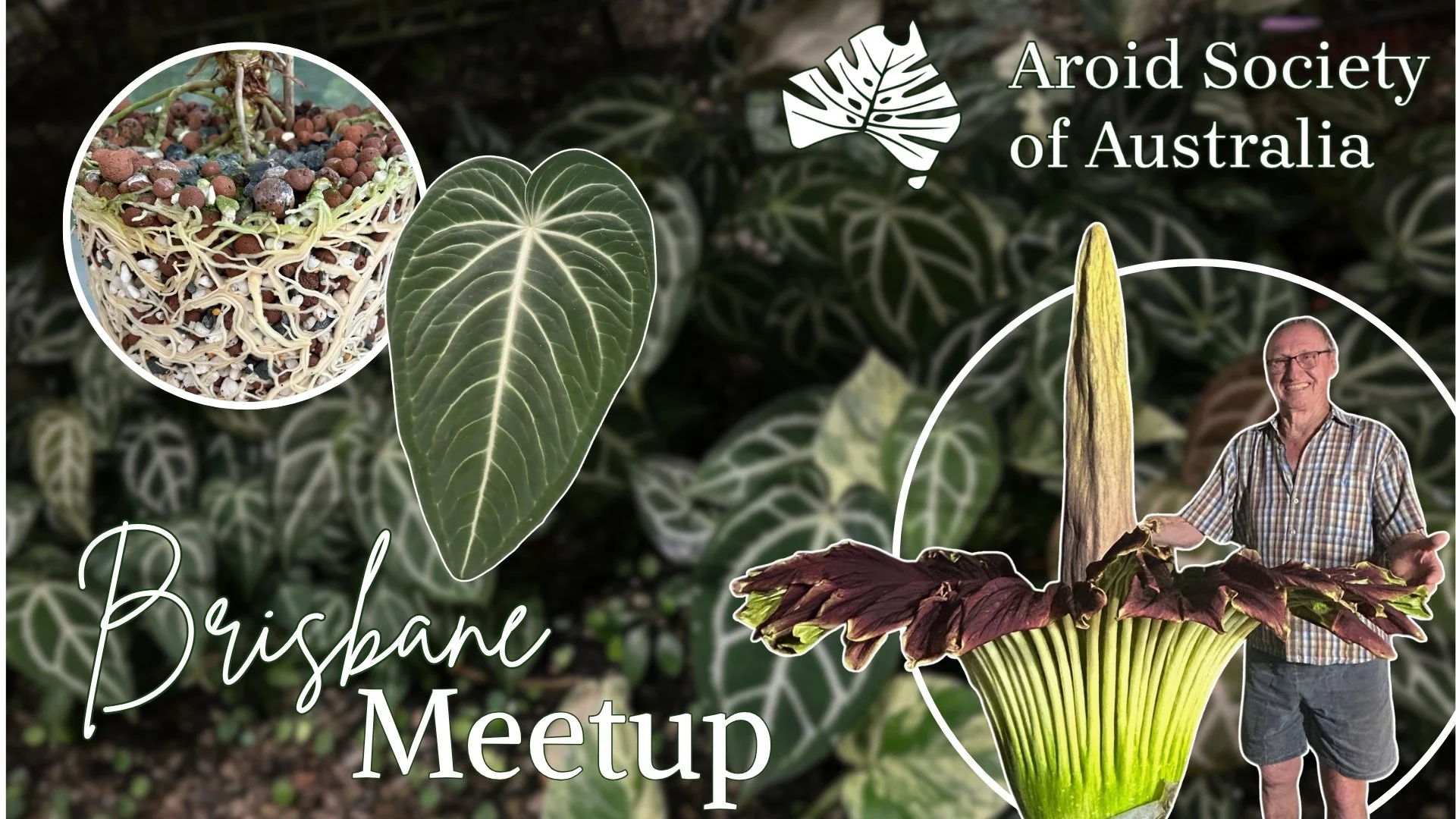 SEQ Autum Meet Up feat Barry Kable 