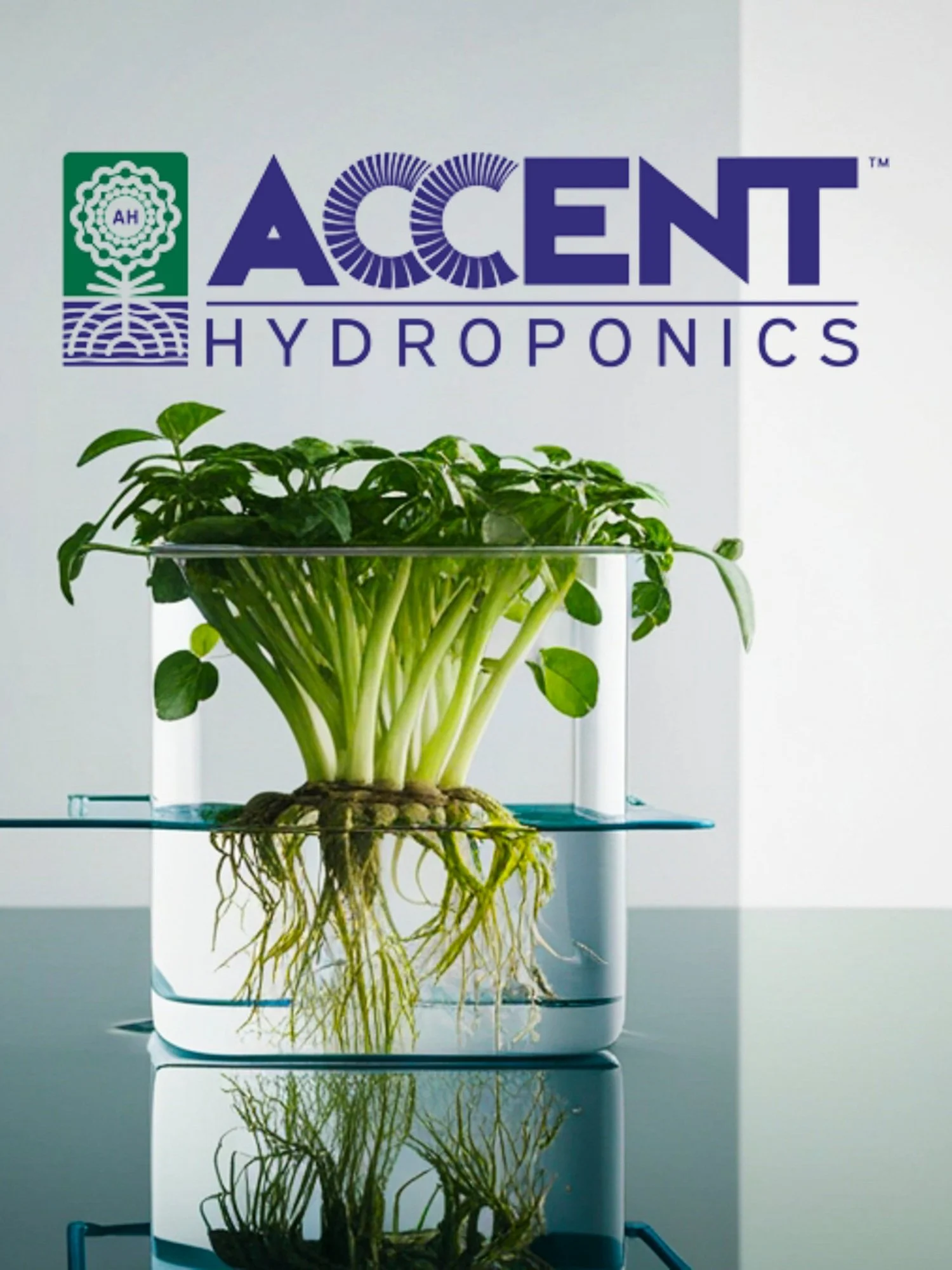 Accent Hydroponics