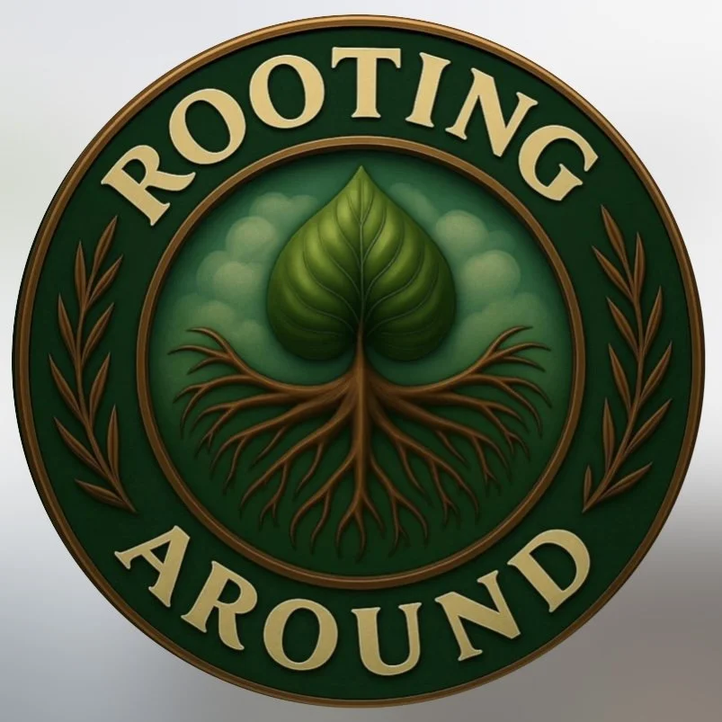 Close-up of a dark green, heart-shaped anthurium leaf with prominent white veins.