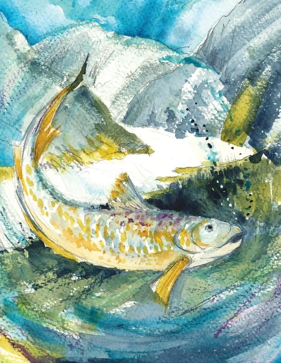 Concert 5 Romantic Undercurrents