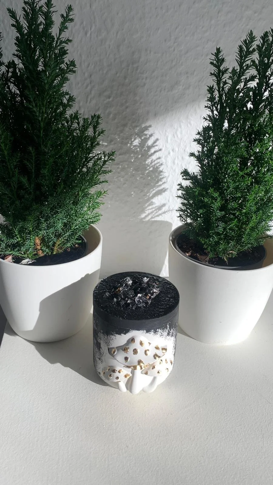 WhatsApp Image 2025-12-14 at 12.27.19 (22).jpeg