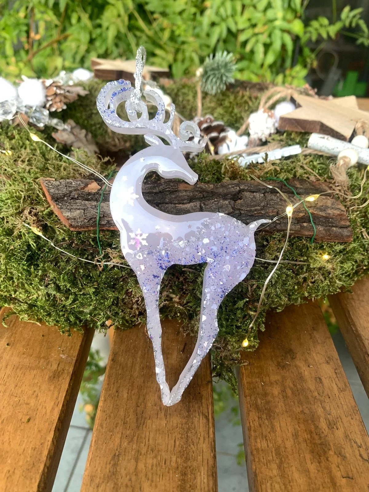 WhatsApp Image 2025-12-15 at 21.56.44.jpeg