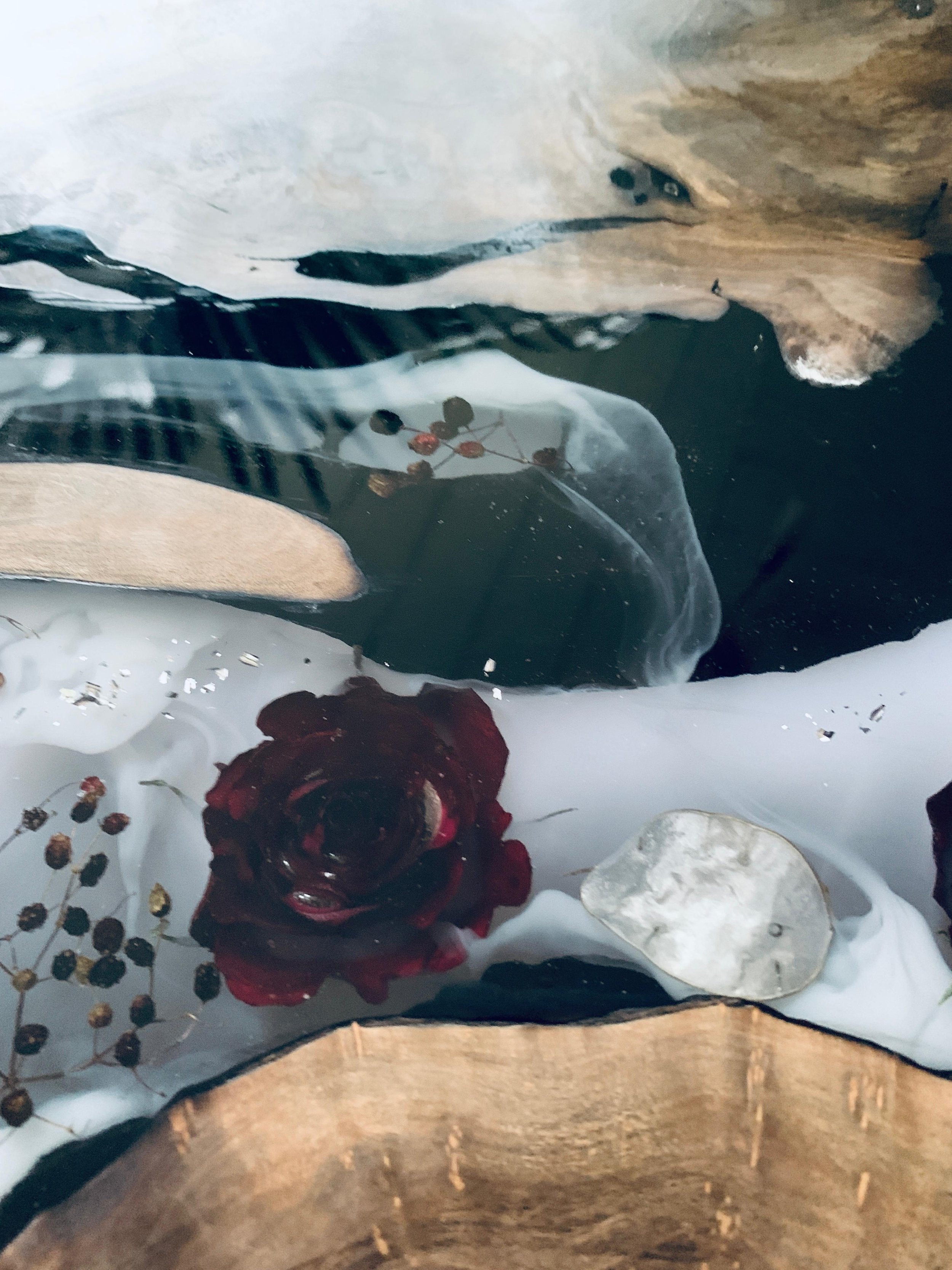 WhatsApp Image 2026-01-19 at 20.12.29 (6).jpeg