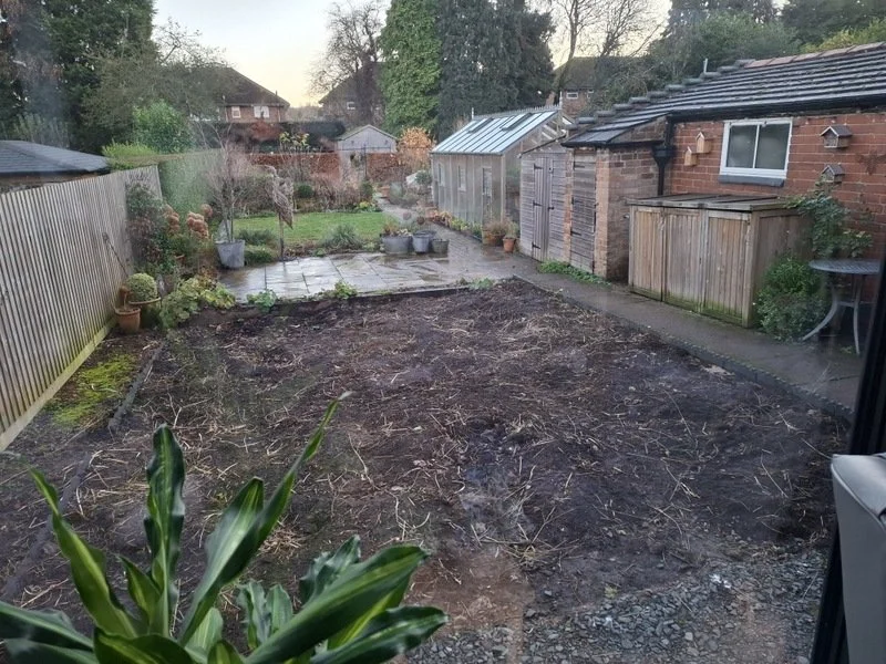 Before Transformation