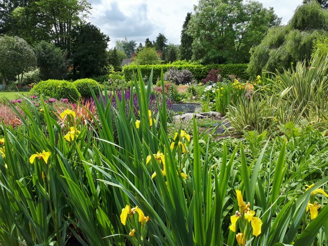 Country Garden Planting Design - Rothley, Loughborough