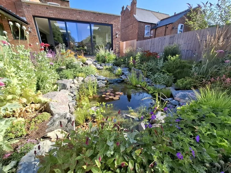 Wildlife Pond at Bel Grierson Garden Design