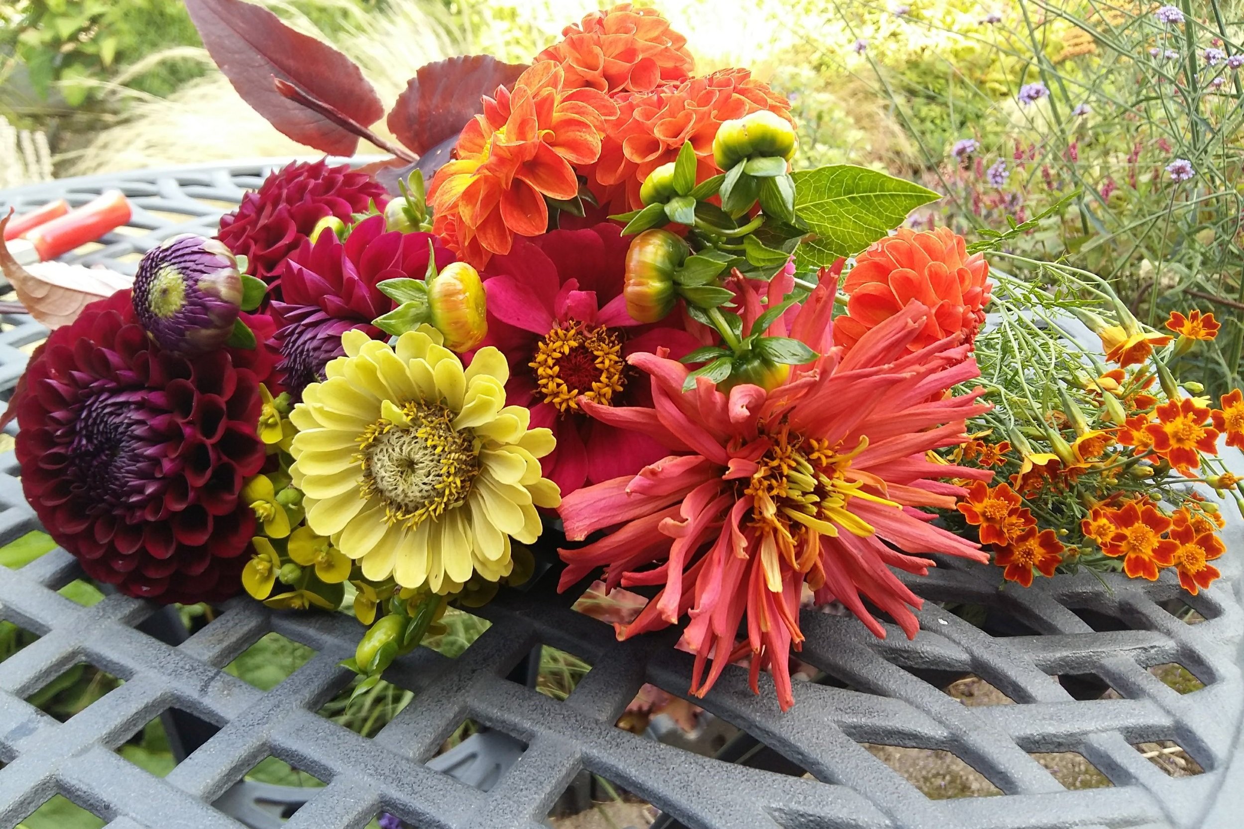 Grow Your Own Cut Flower Posies - Late Summer Edition