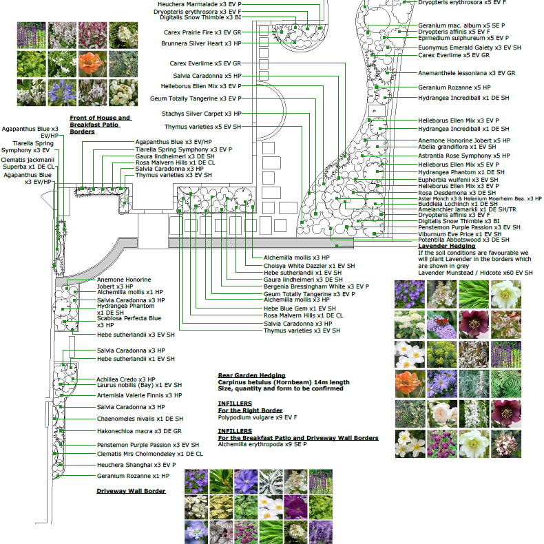 Planting Design Packages - What's Included?