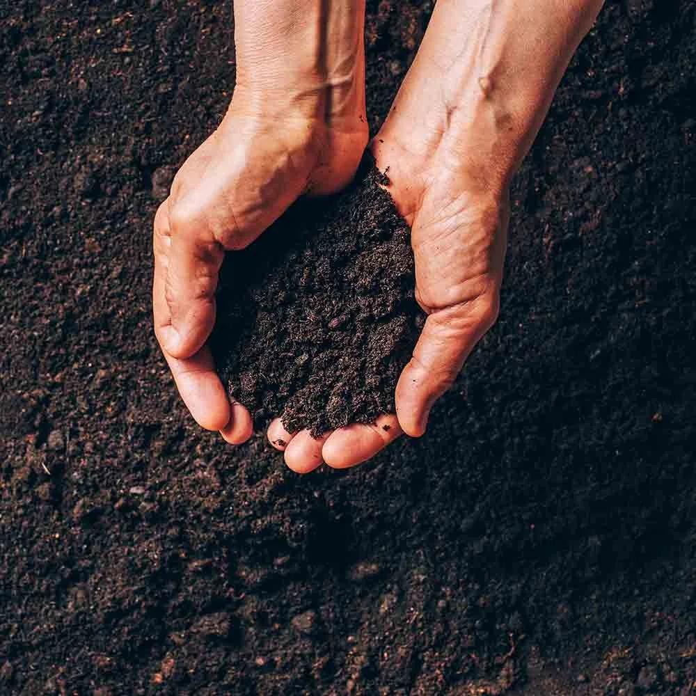 Soil, Manure and Garden Compost - Which to Use &amp; How