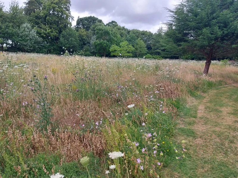 Broughton Grange Garden