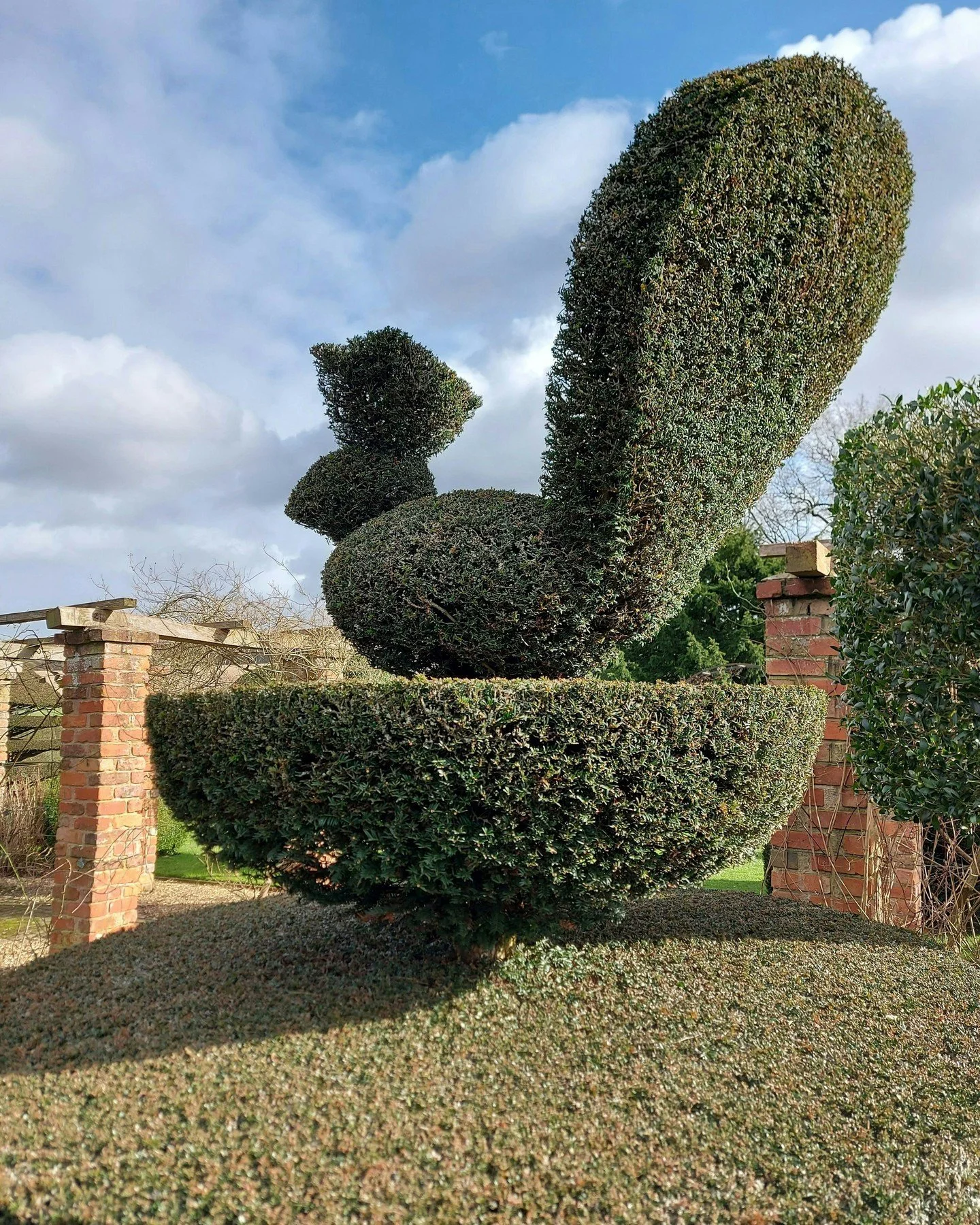 It may be grey out there but there's lots to be seen in a garden in February. Here's some inspiration from Felley Priory Gardens. The topiary has you looking skyward, whilst you have to bend down to fully appreciate the Snowdrops and Hellebores. Thin