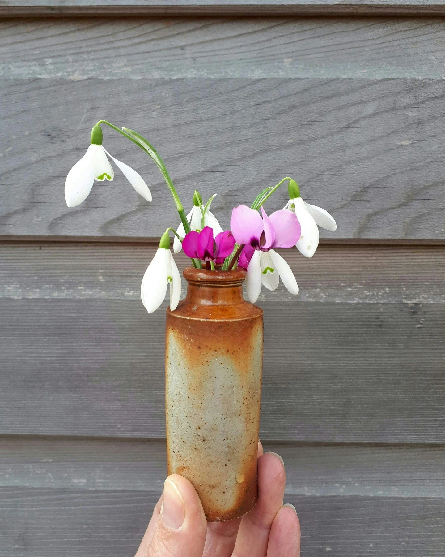 When it's grey outside, a little posie of Snowdrops and Cyclamen from the garden, really cheers me up in cold wet February.

Bring the outside in.