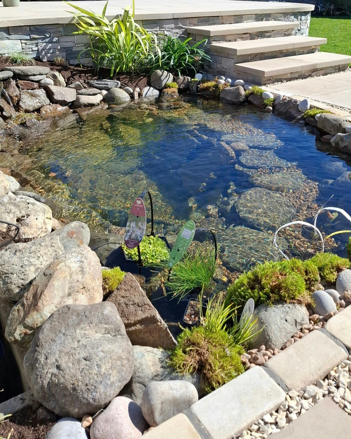 All ready for spring, this pond has just been completed in one of our garden projects, and it's looking beautiful in the sunshine. It's rather tempting to dip your toes into, but probably colder than it looks!

More images of this completed project t