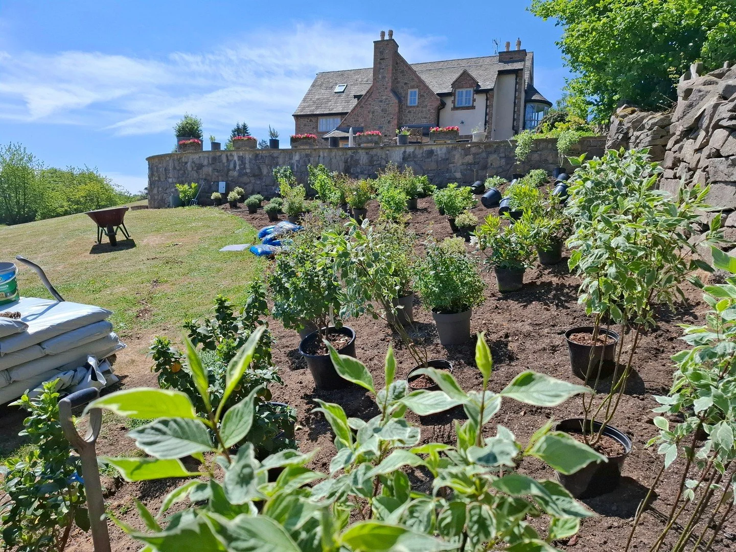 Blue Skies and fantastic views! Before all the rain we were very busy planting phase 2 at this wonderful farmhouse in rural Leicestershire. Following on from last year, we planted up this huge bed with a selection of shrubs for long-term interest but