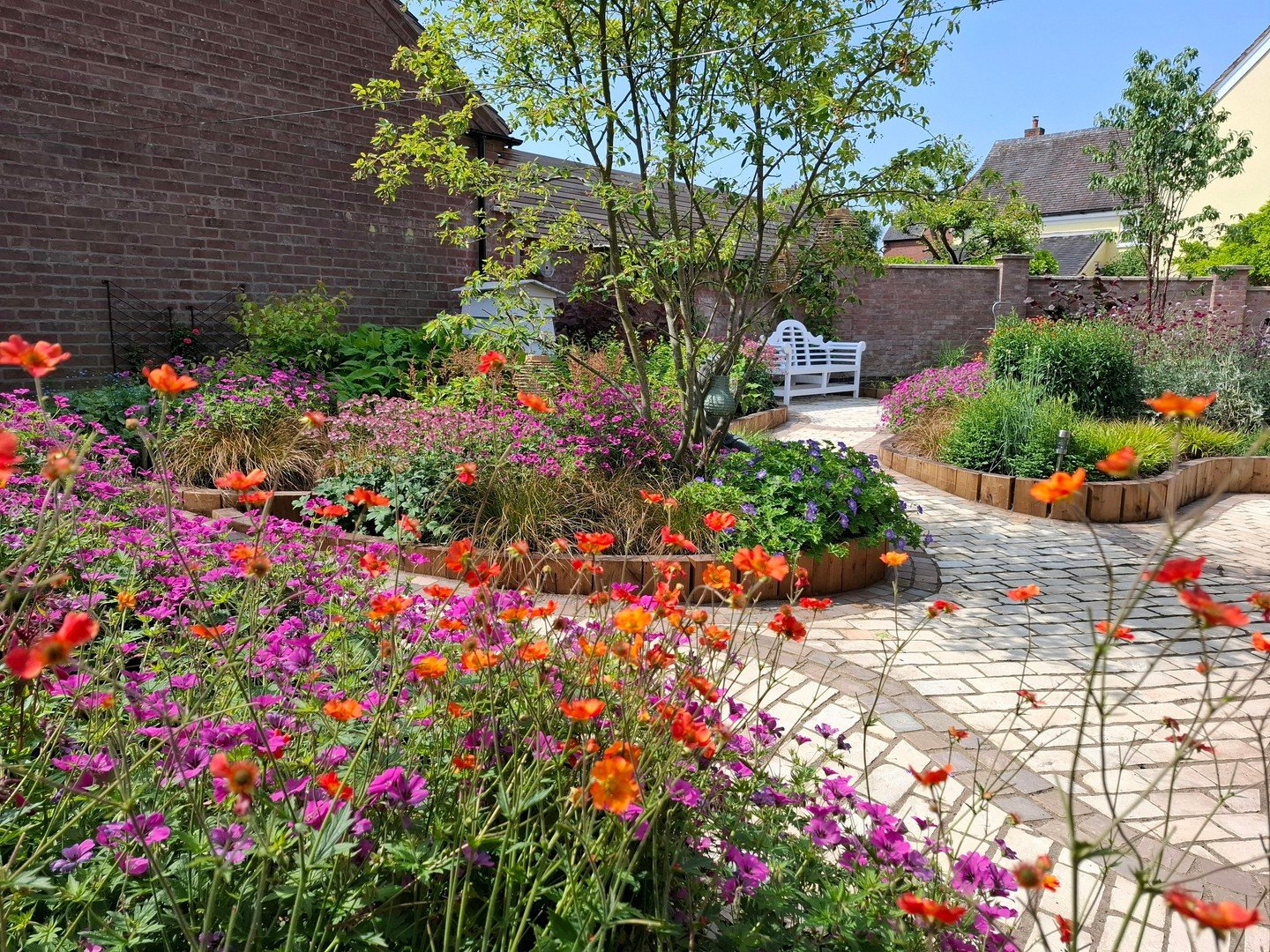 A big splash of colour in this Courtyard Garden, where we replaced the boring lawn with sinuous planting beds and pathways, making the use of every corner of this space and introducing so much dynamic colour and texture, attracting lots of wildlife a