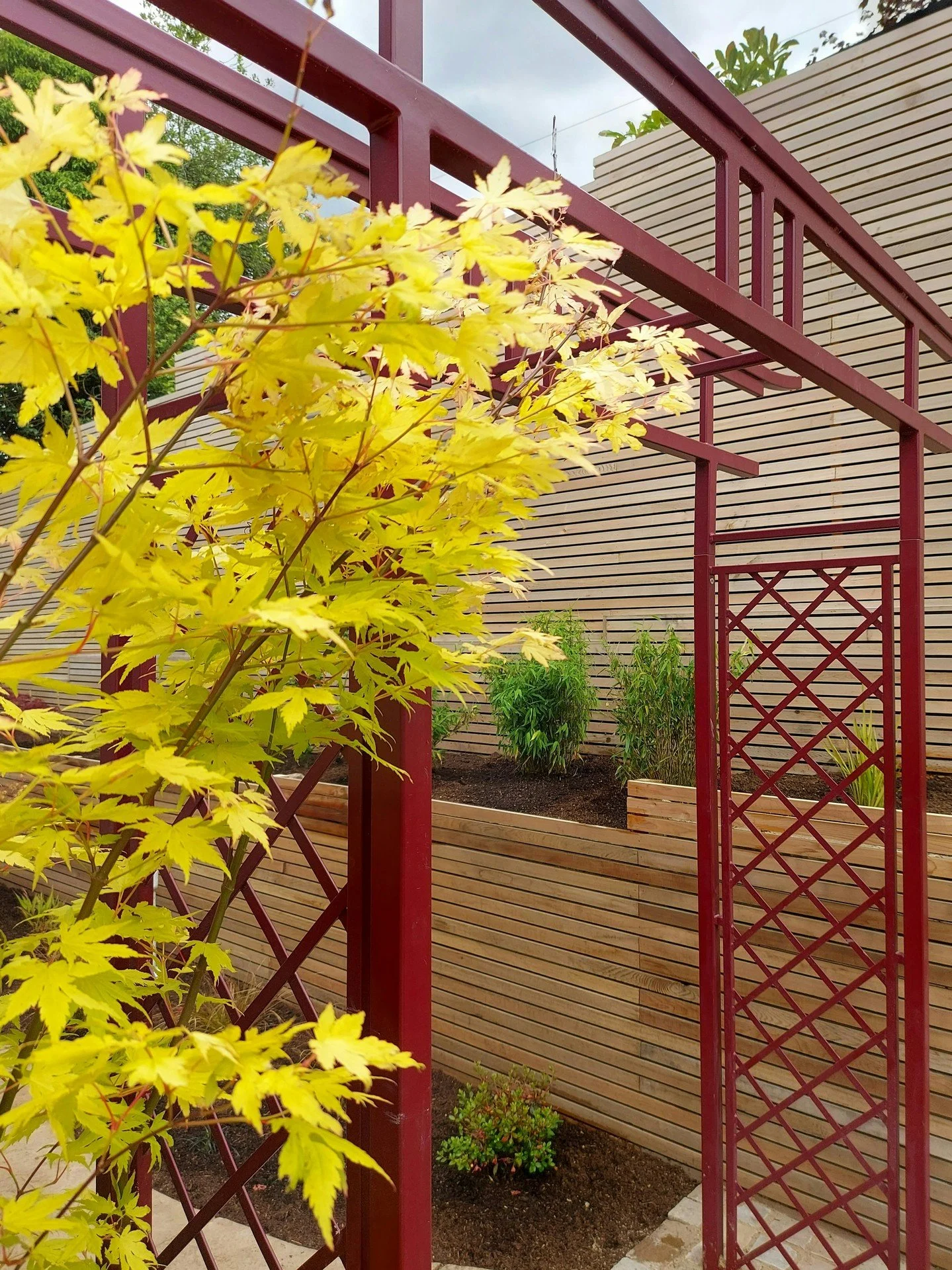 Something Japanese from us in this Courtyard Garden. Some beautiful features including the Tori Arch, Granite Lanterns and Water bowl contrast well with the cedar cladding. The planting will fill out well this year and timber will silver off to softe