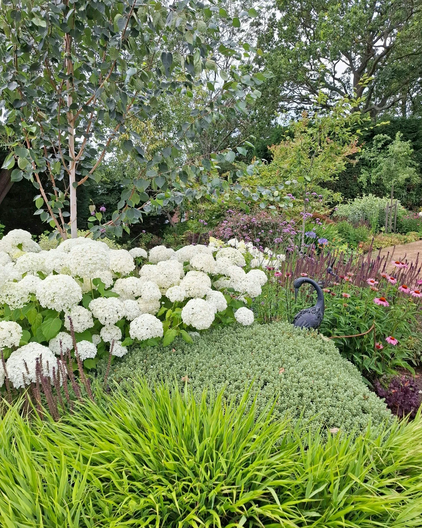 4 years on from planting, this combo still looks great!  Well considered planting design using tried and tested plant varieties, ideal planting densities and choosing the right plant for the right place really pays off.

If you have tired overgrown p