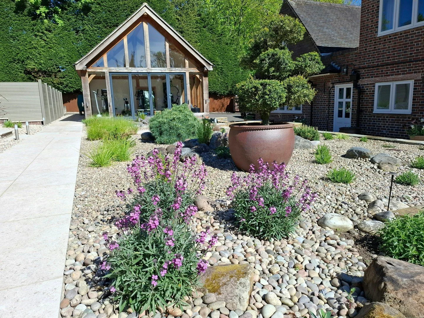 Great to see our 2017 gravel garden have a refresh, with new paving and planting this year. The Erysimum and Lavender will offer months of floral colour during the summer months and the dwarf pines provide year-round structure, nestled amongst the sc