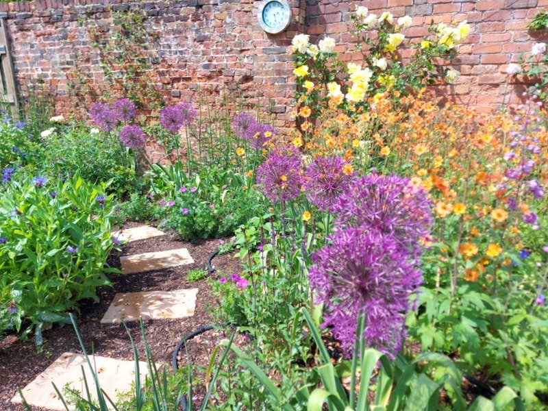 Cottage Garden Planting Design - Wilford, Nottingham