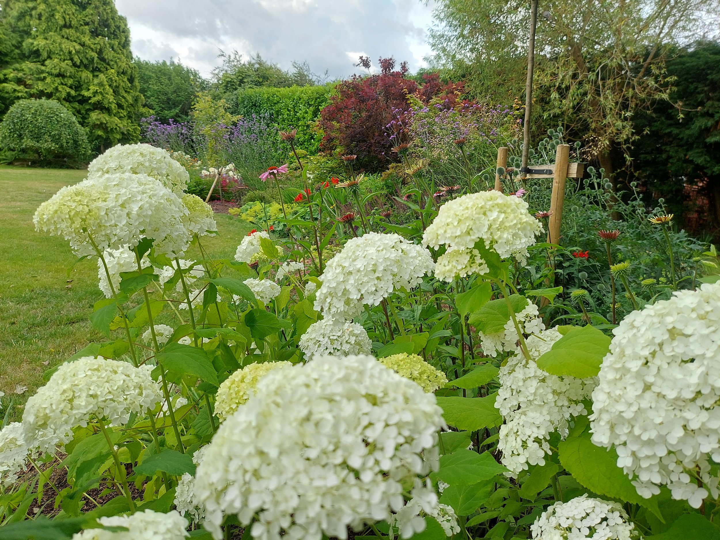Traditional Country Planting Design - Loughborough