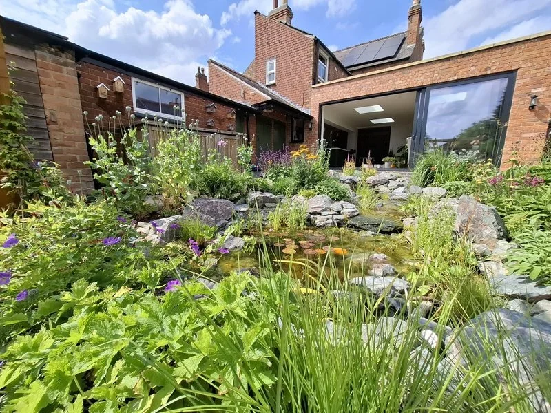 Wildlife Pond at Bel Grierson Garden Design