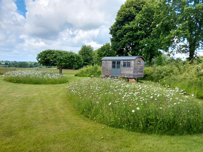 Rural Country Garden Design - Northamptonshire