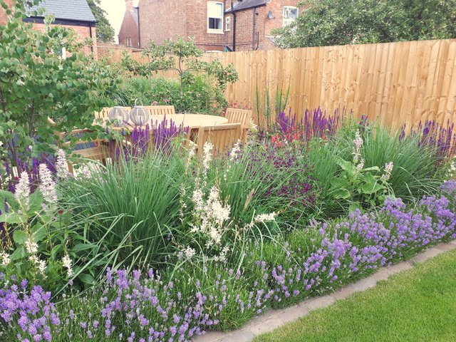 Long Narrow Garden Design