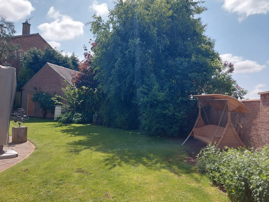 Before Transformation